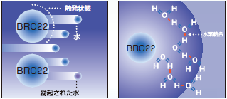 BRC22 触発状態　水素結合